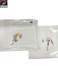神秘の世界エルハザード セル画 フィギュア/グッズ