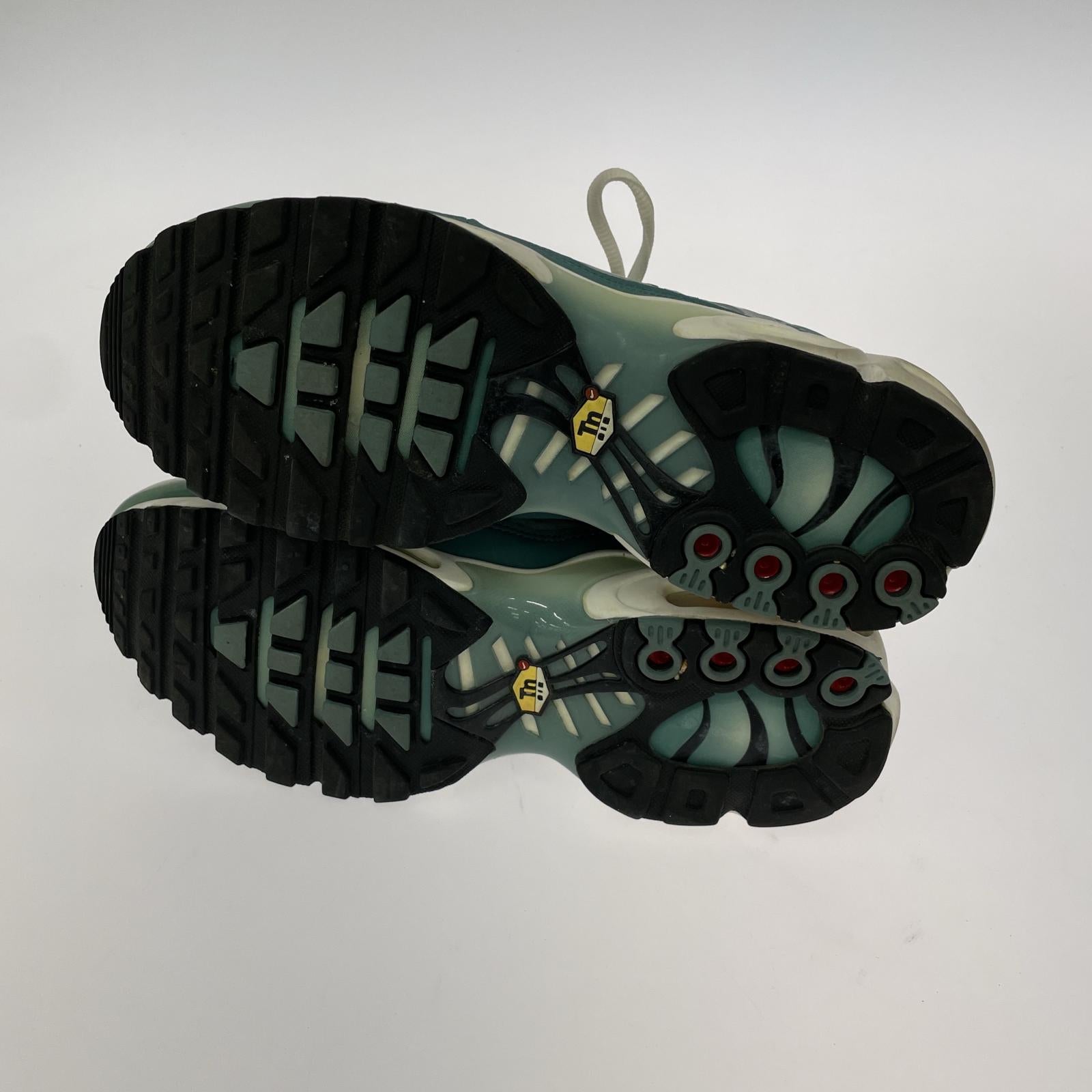 スニーカー AIR MAX PLUS PALM TREES GREEN 27cm (US9 UK8 1/2 EU44) グリーン