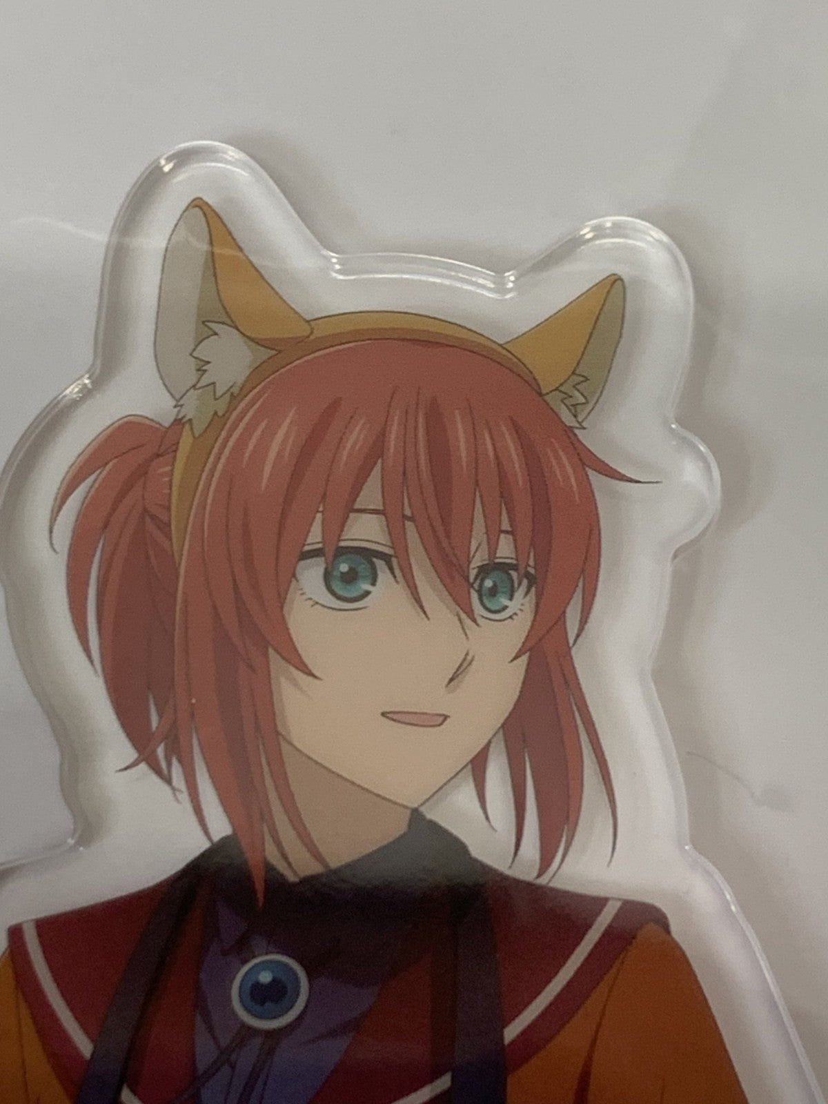 魔法使いの嫁 ビッグアクリルスタンド フィギュア/グッズ