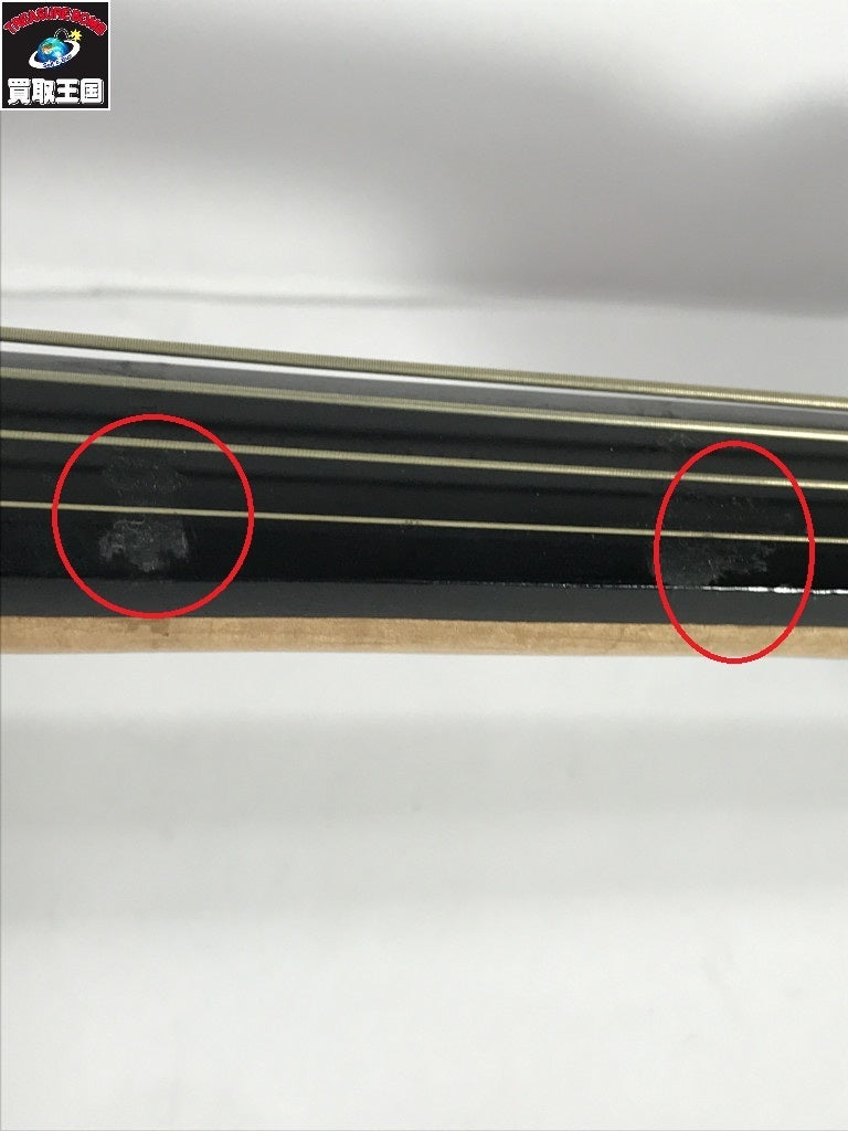 チェロ その他楽器
