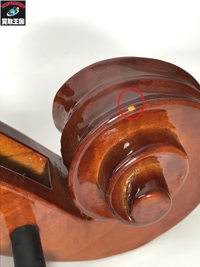 チェロ その他楽器