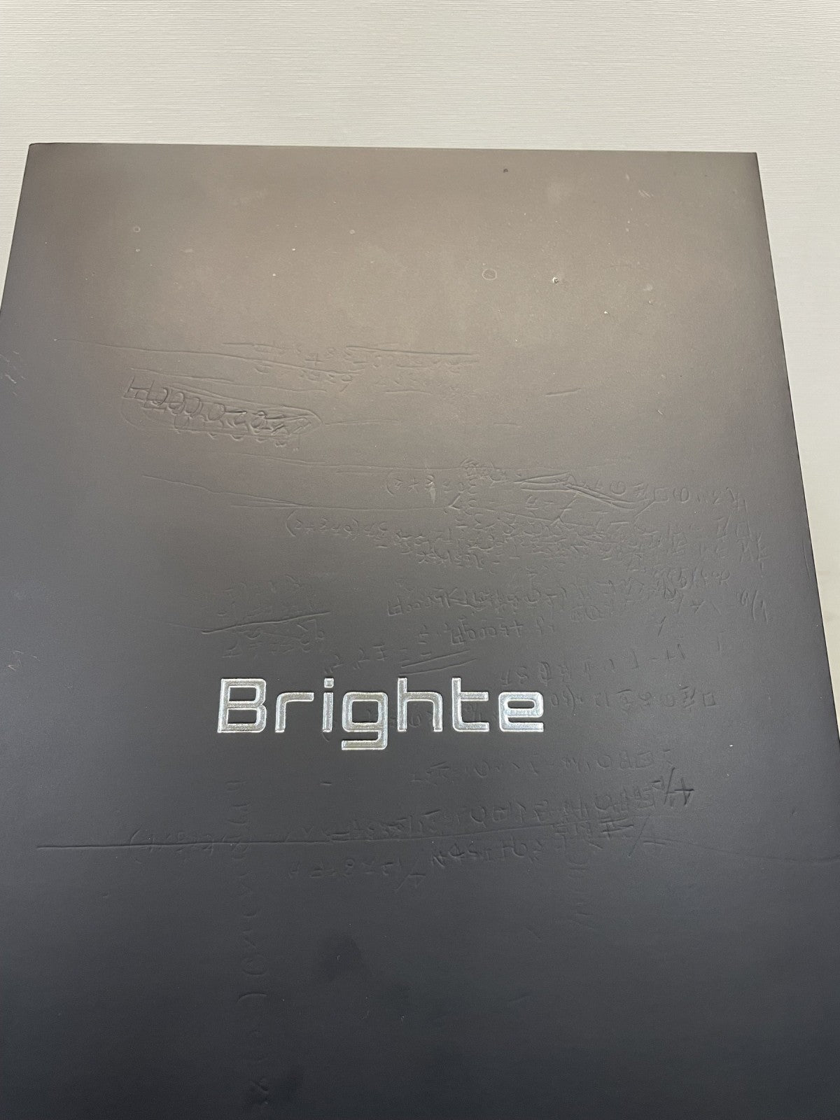Brighte SHOWER DRYER ブライト シャワードライヤー BRT-SD173 理美容家電