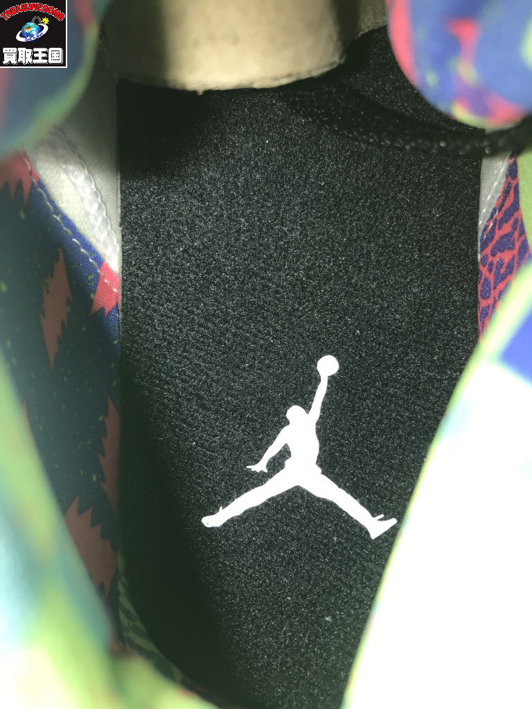 スニーカー AIR JORDAN 5 RETRO 28.5cm