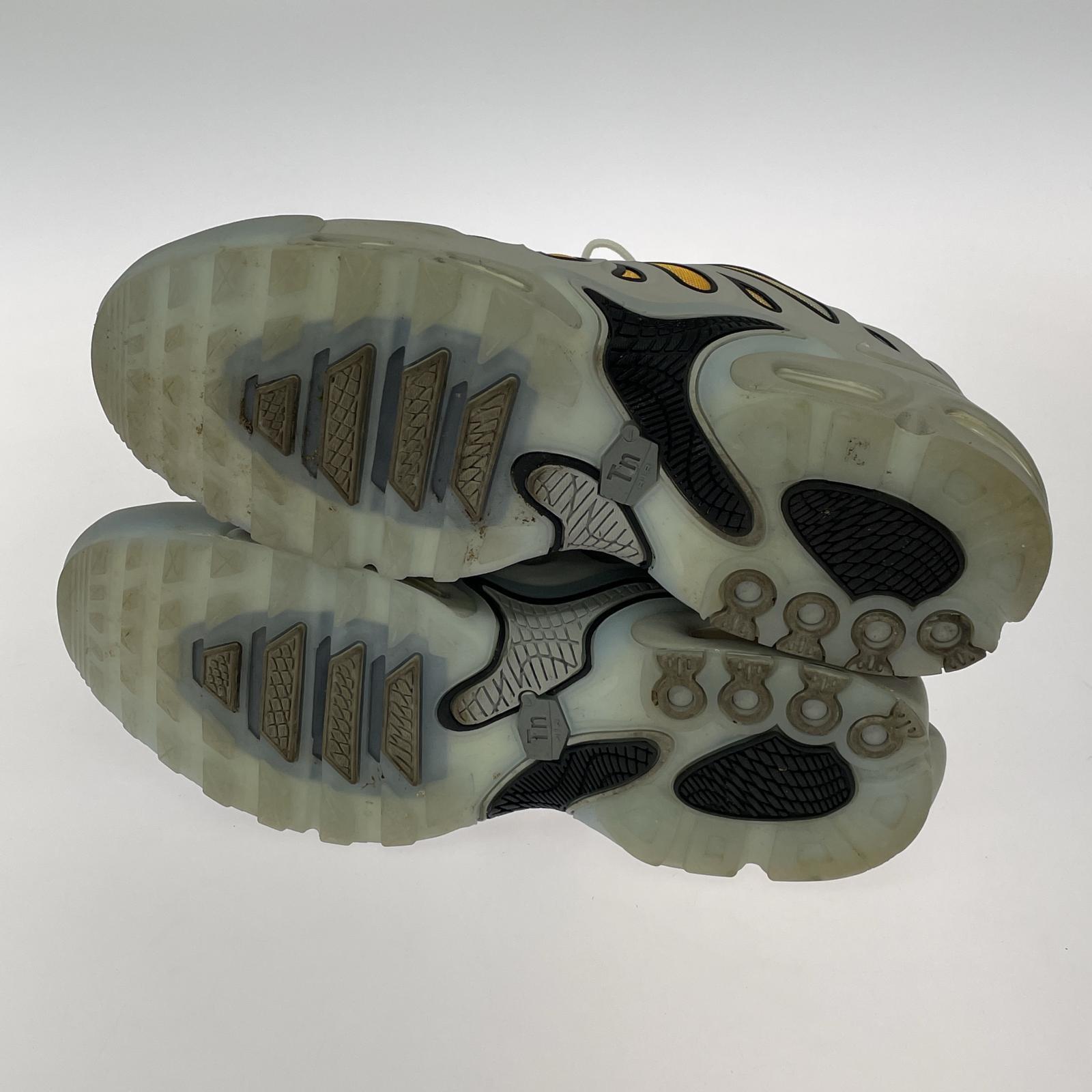 スニーカー AIR MAX PLUS DRIFT 30cm (US12 UK11 1/2 EU50) グレー