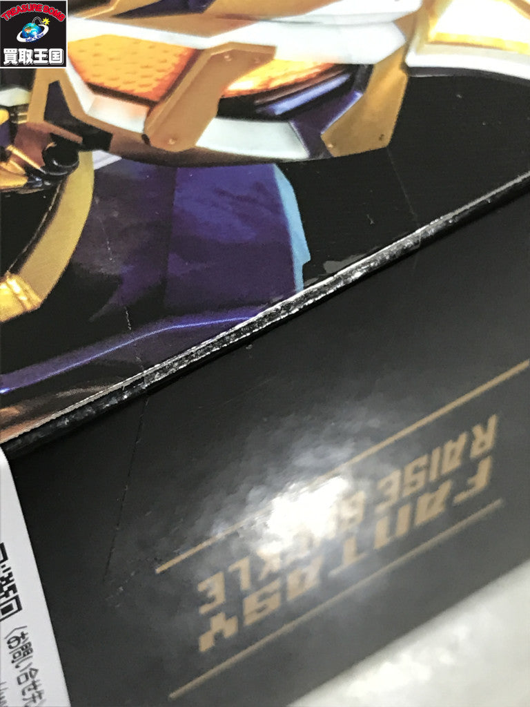 DXファンタジーレイズバックル フィギュア/グッズ