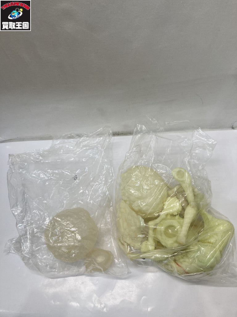 セミ人間 ver.冬虫夏草 大山竜 その他小物