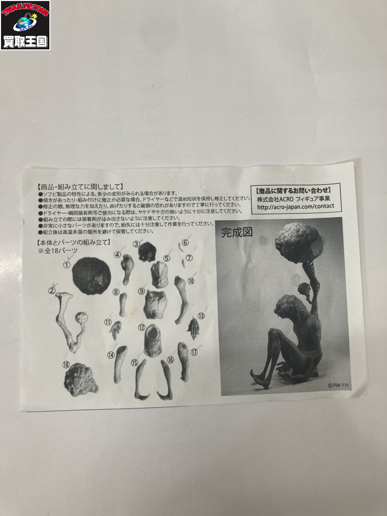 セミ人間 ver.冬虫夏草 大山竜 その他小物