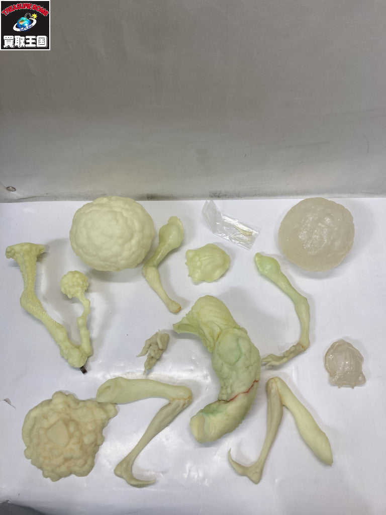 セミ人間 ver.冬虫夏草 大山竜 その他小物