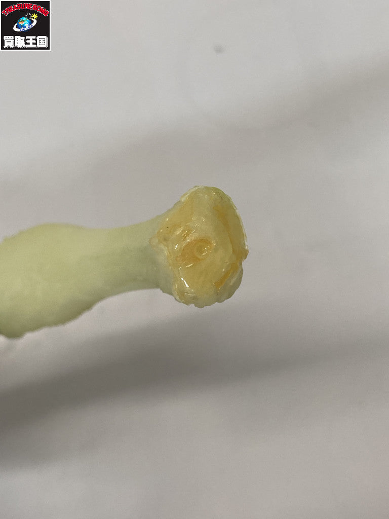 セミ人間 ver.冬虫夏草 大山竜 その他小物