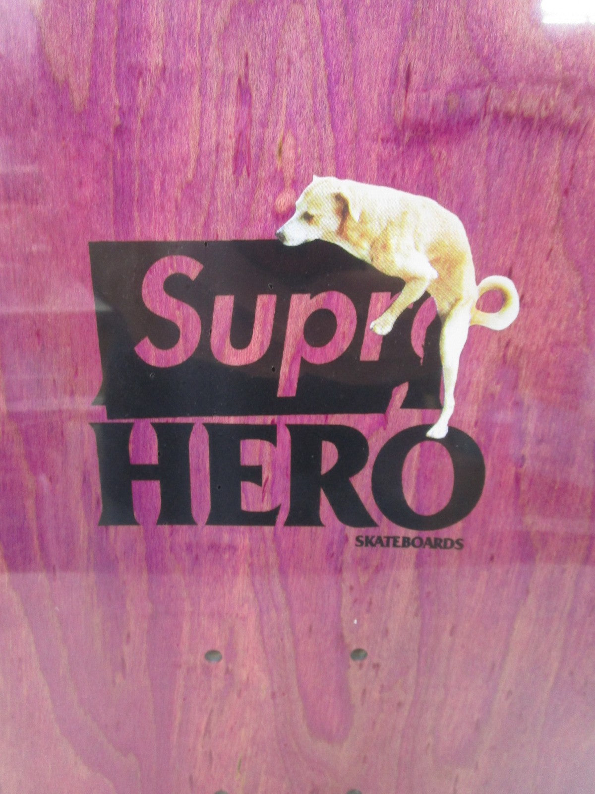 その他アクセサリー 22ss x ANTIHERO Dog デッキ