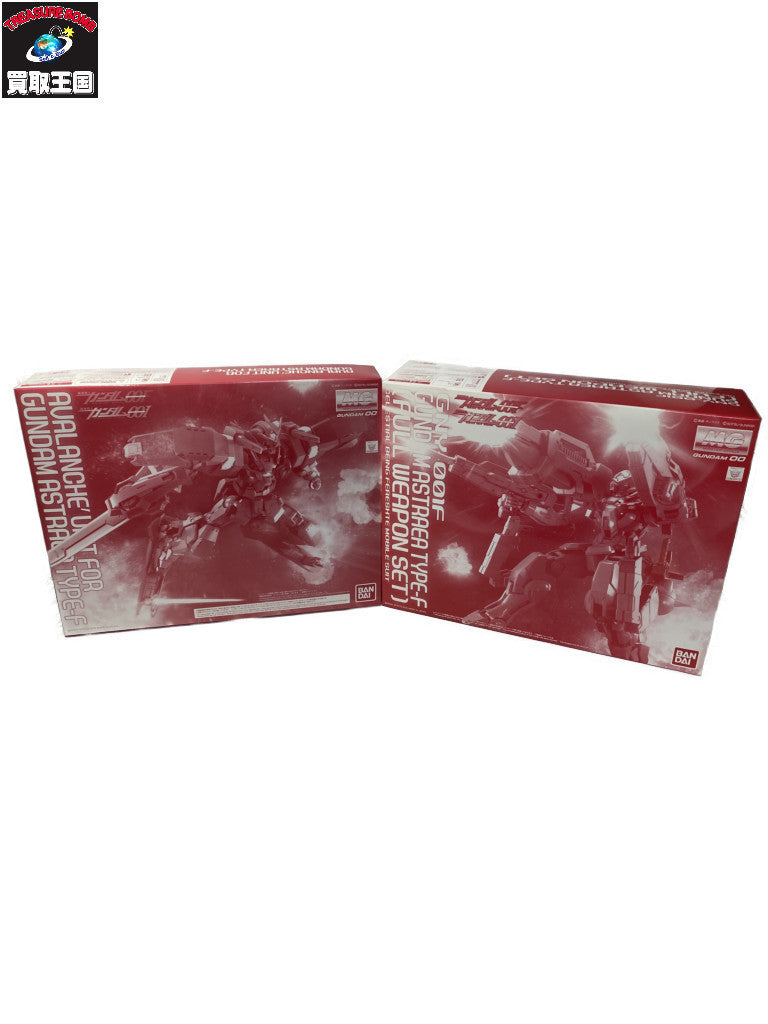 MG 1/100 ガンダムアストレア TYPE-F フルウェポンセット フィギュア/グッズ