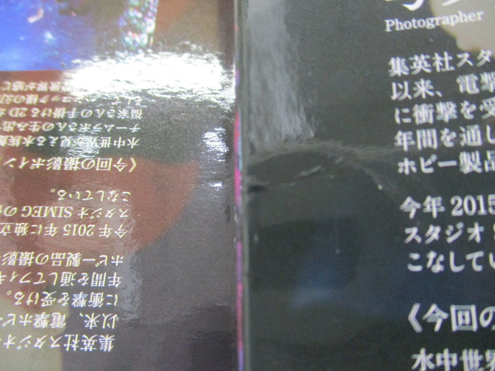 造形師×写真家 BOA.HANCOCK フィギュア/グッズ
