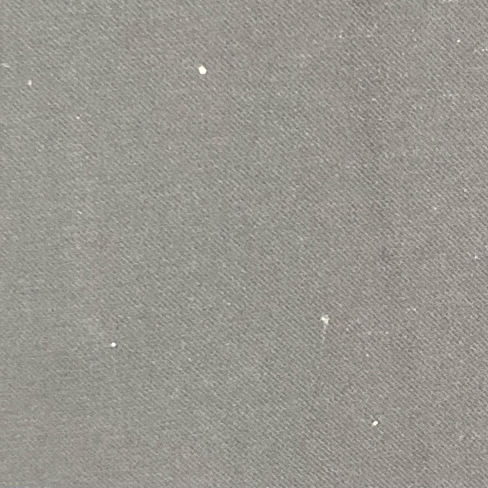 半袖Tシャツ Comfortable Twill BIG T/SHIRT 38 ブラック
