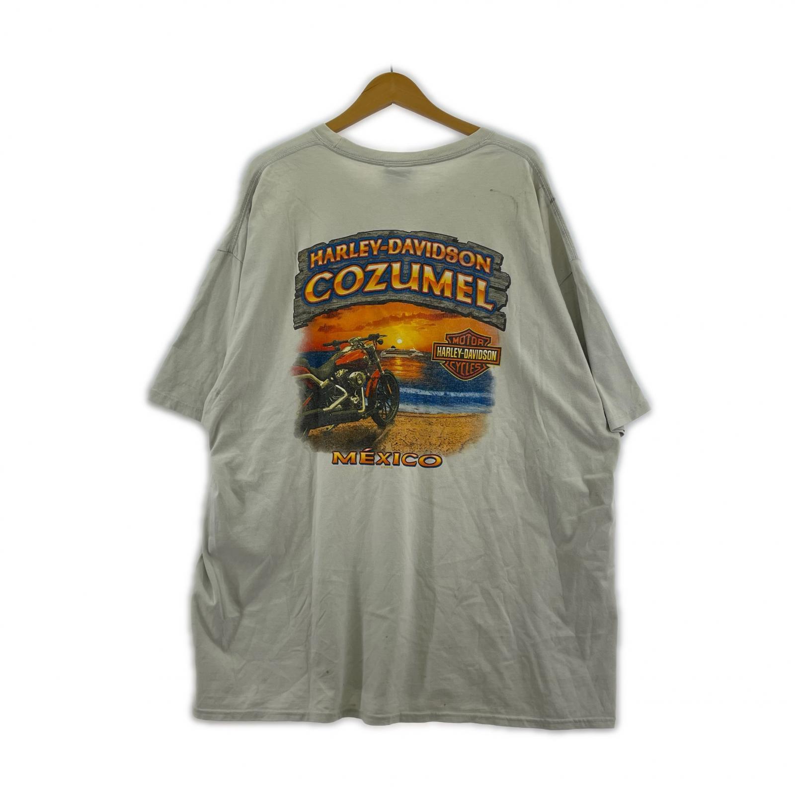半袖Tシャツ 両面プリント 3XL ホワイト