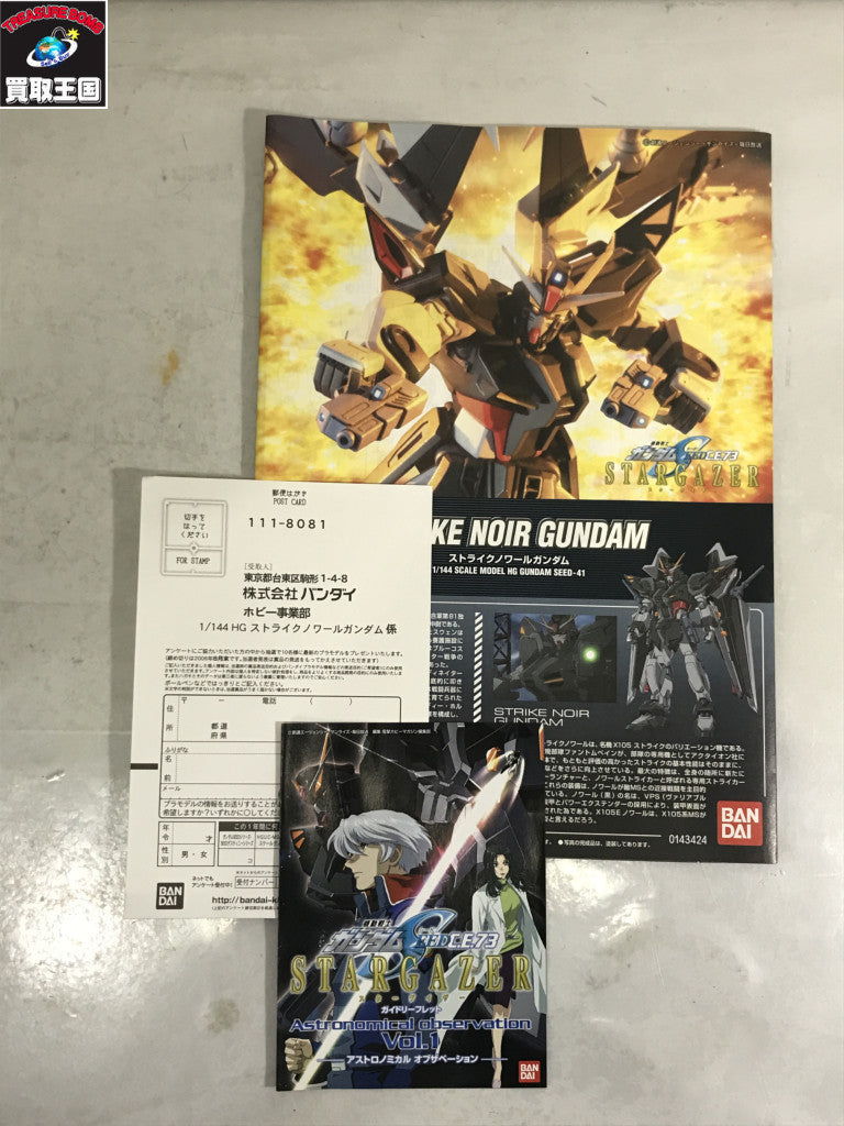 HG 1/144 GAT-X105E ストライクノワールガンダム ガンプラ