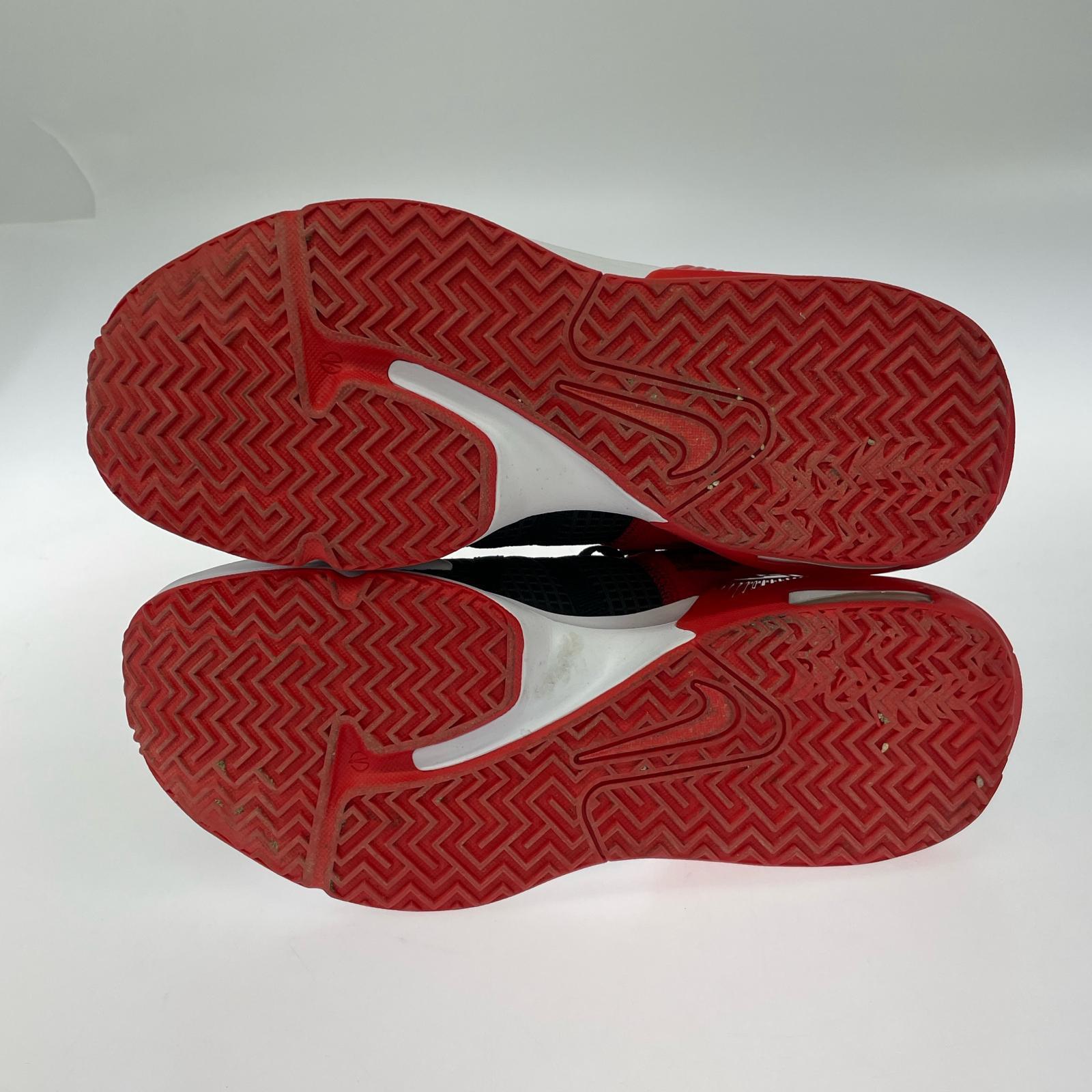 スニーカー LEBRON WITNESS 7 /29.0cm 29cm (US11 UK10 1/2 EU48) ブラック