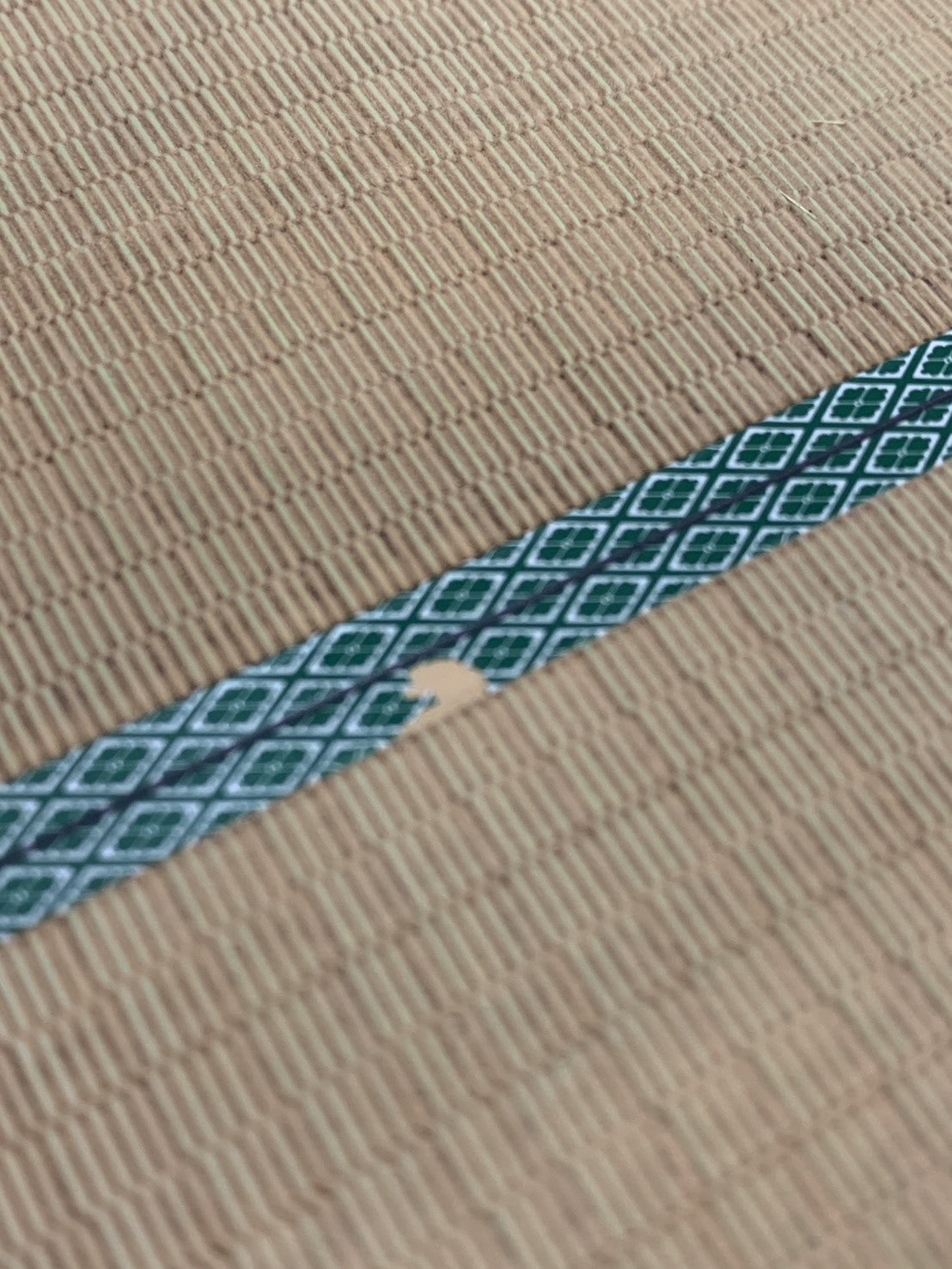 御守雛菊 illust by 深崎暮人 紫紺Ver. 1/6 完成品フィギュア Rその他