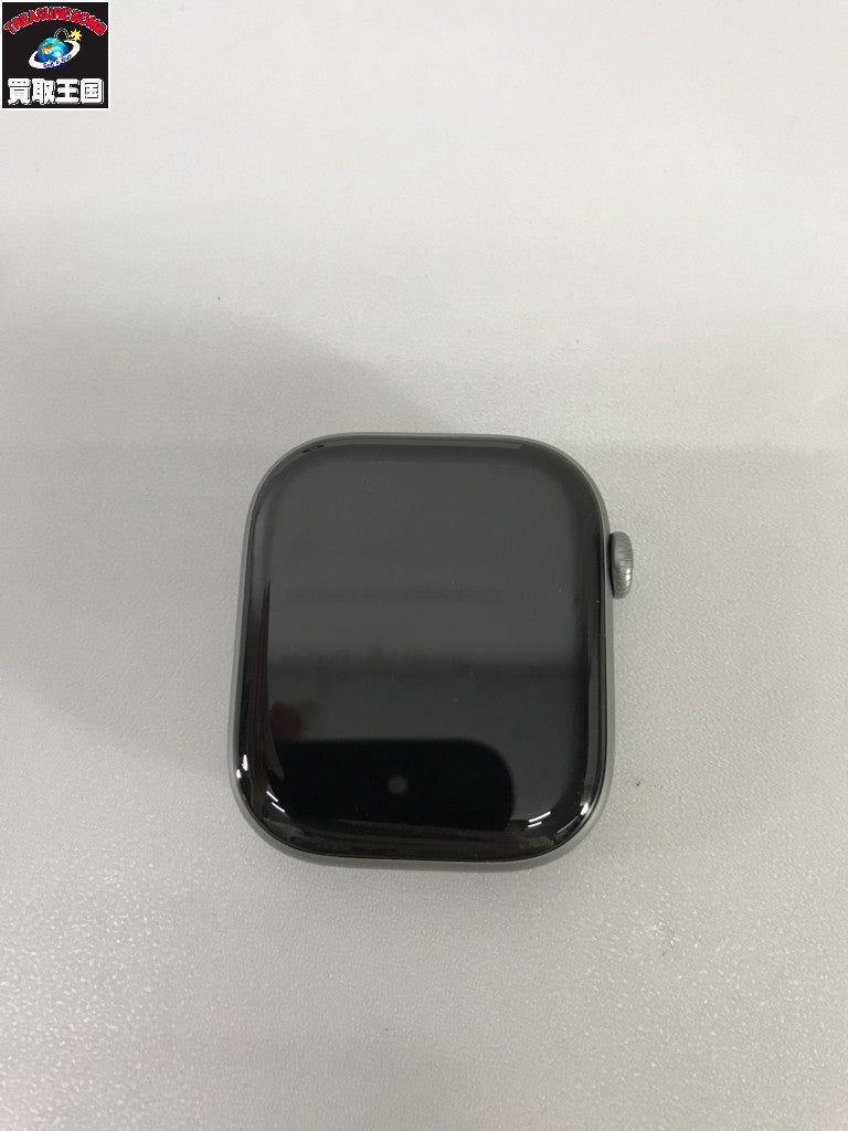 Apple Watch 11 46mm GPS milanese loop MGJ74FE/A アクセサリー