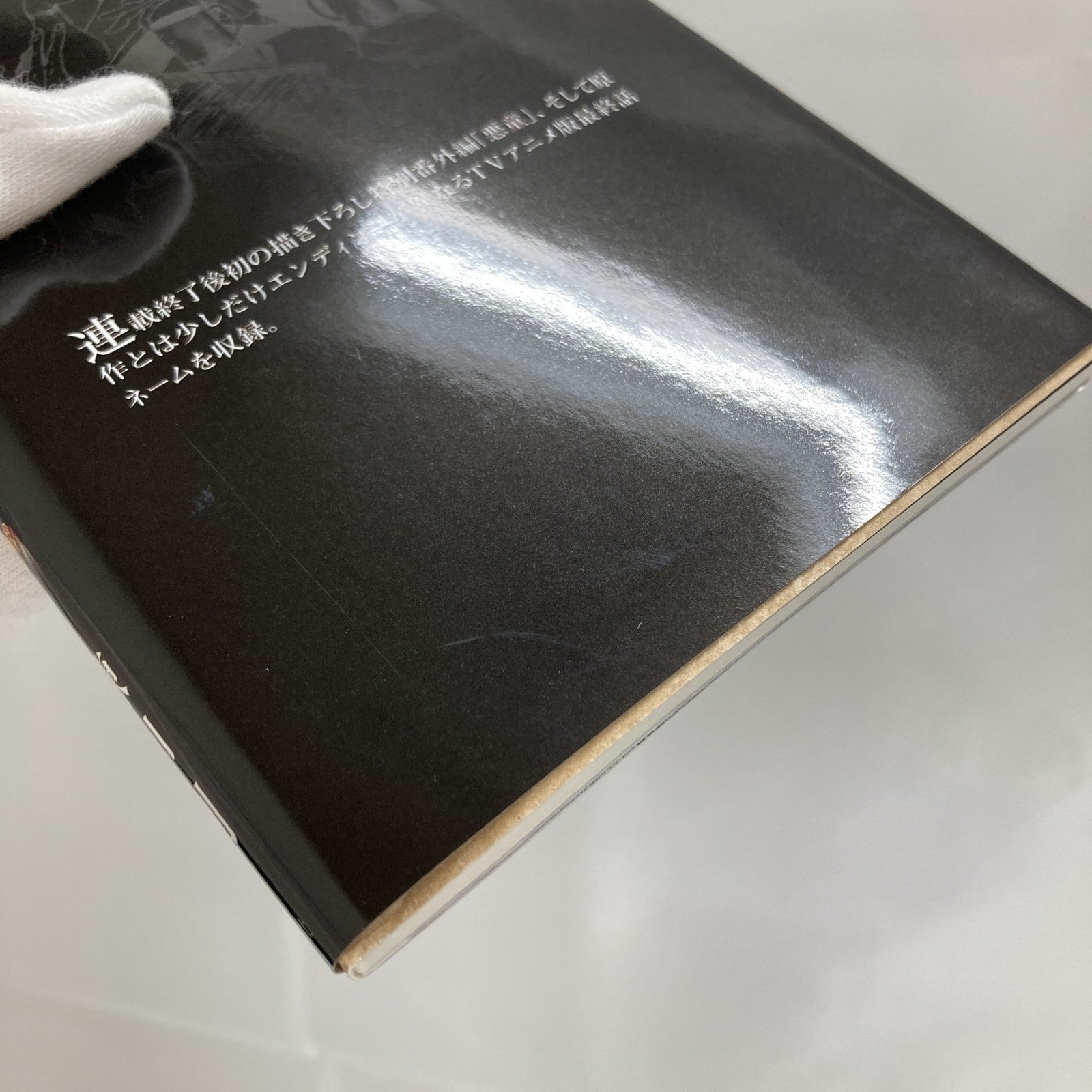 進撃の巨人 画集 FLY フィギュア/グッズ