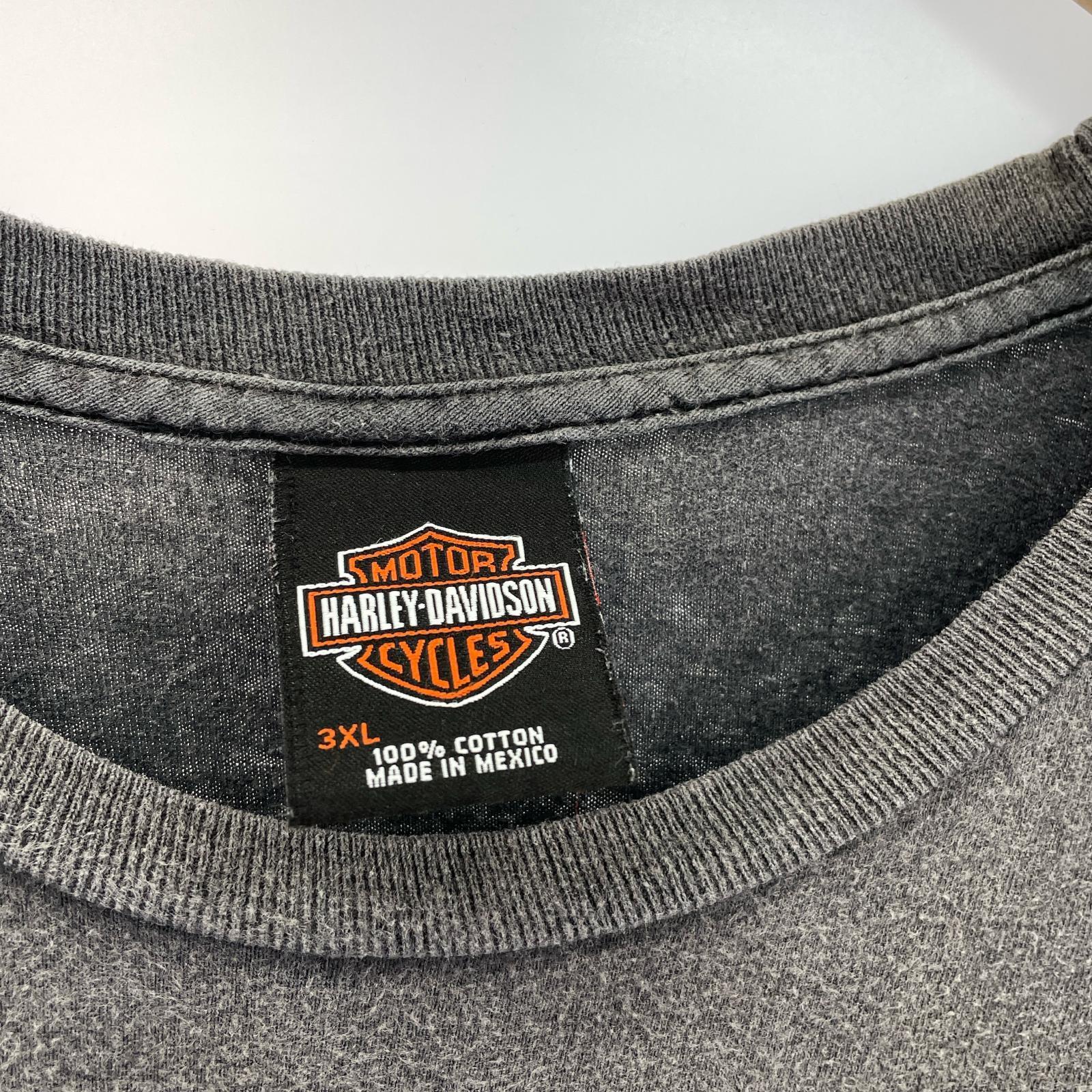 半袖Tシャツ 00s イーグル スカル 3XL グレー