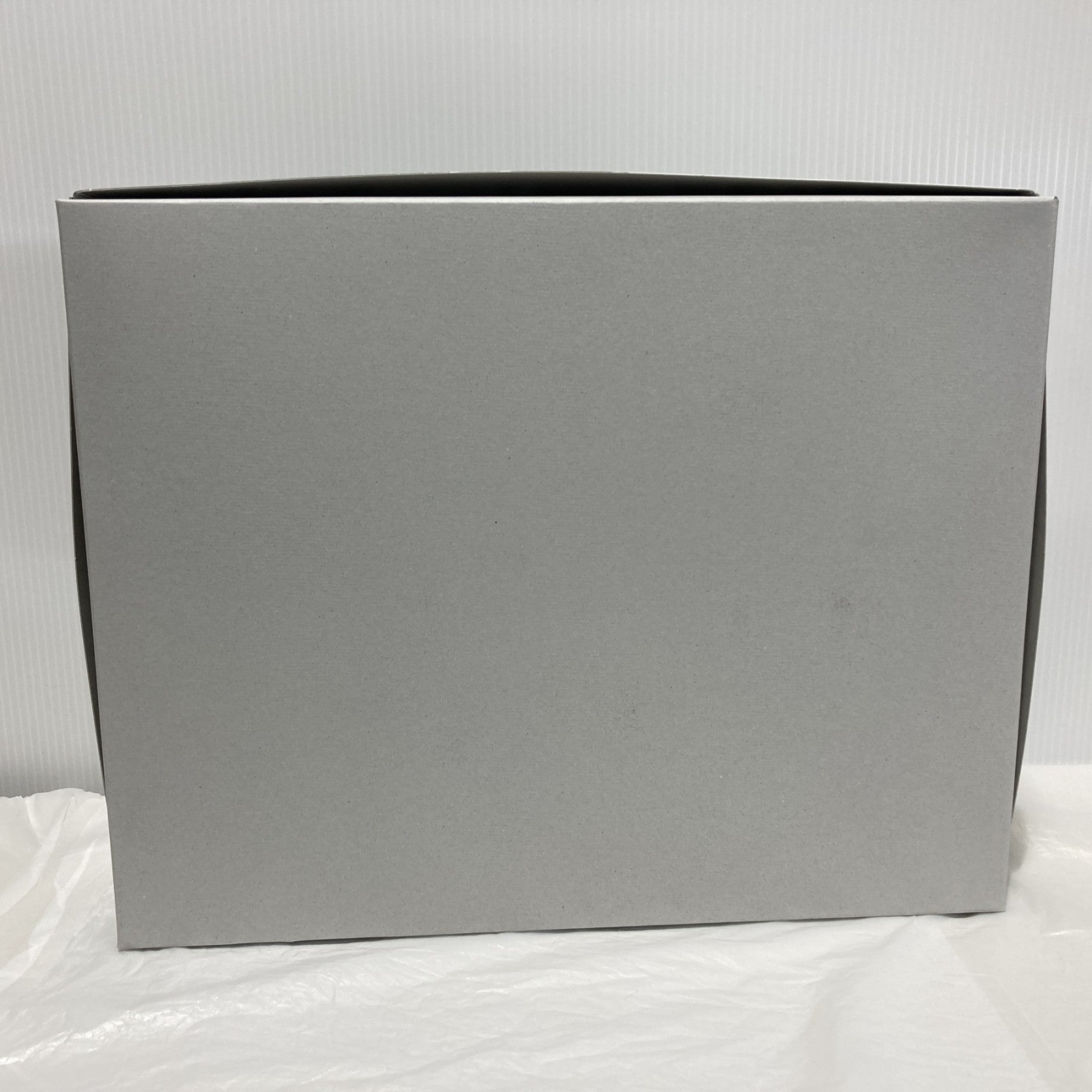 ザクII F型 ルショーン機 & 無識別型ザクII ルショーン機 ガンプラ