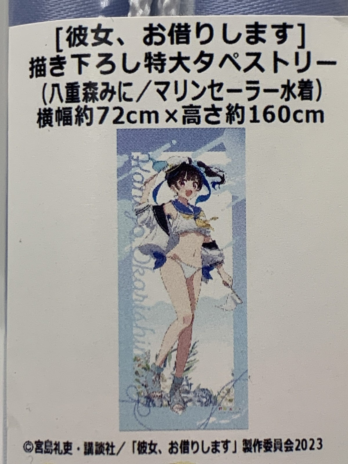 カーテン魂 かのかり 特大タペストリー フィギュア/グッズ