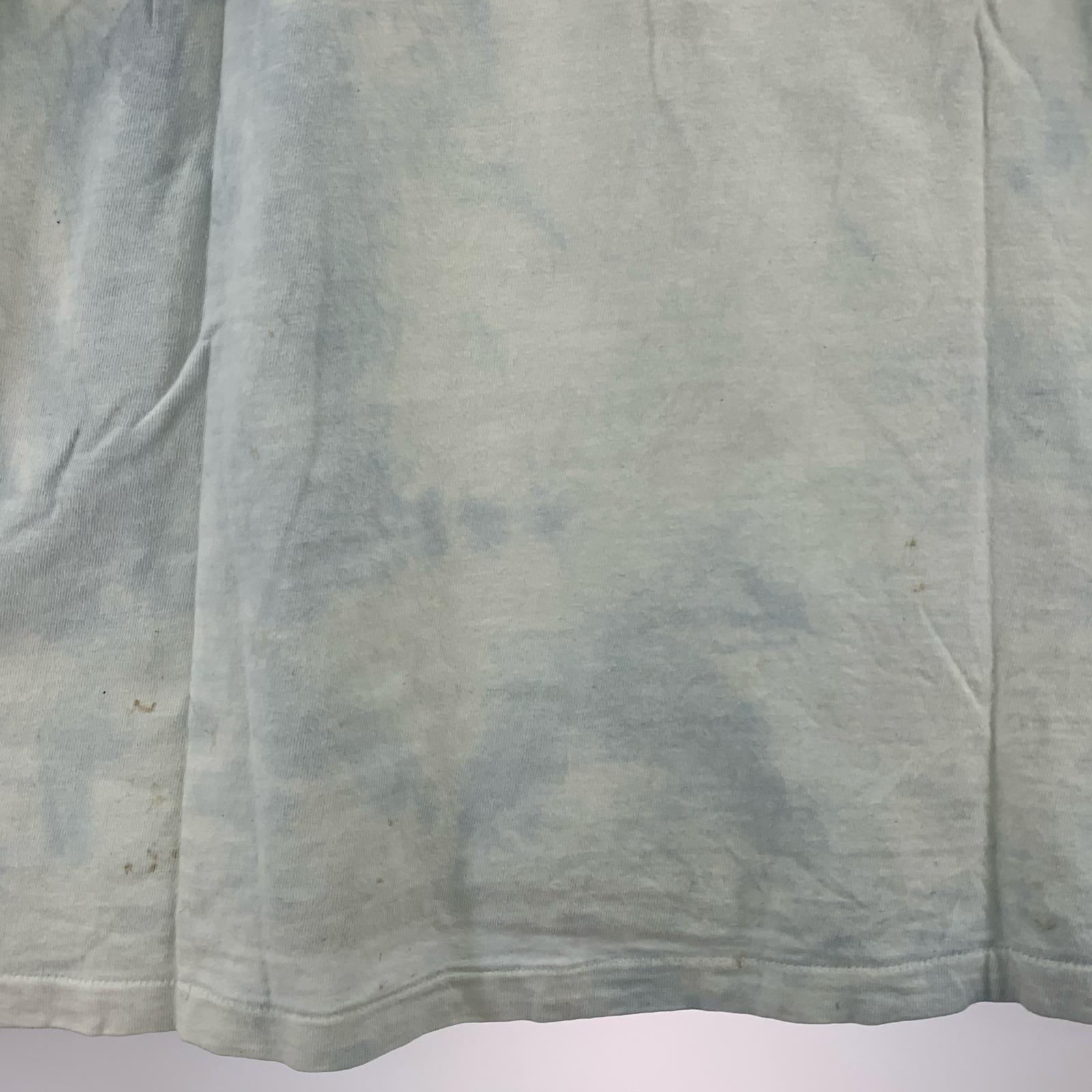 半袖Tシャツ STAFFORD BLAINE USA製 モネ絵画(L) L ホワイト