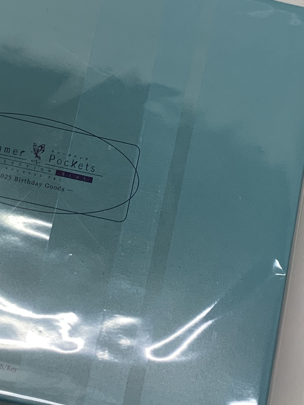 Summer Pockets空門蒼2025年バースデー フィギュア/グッズ