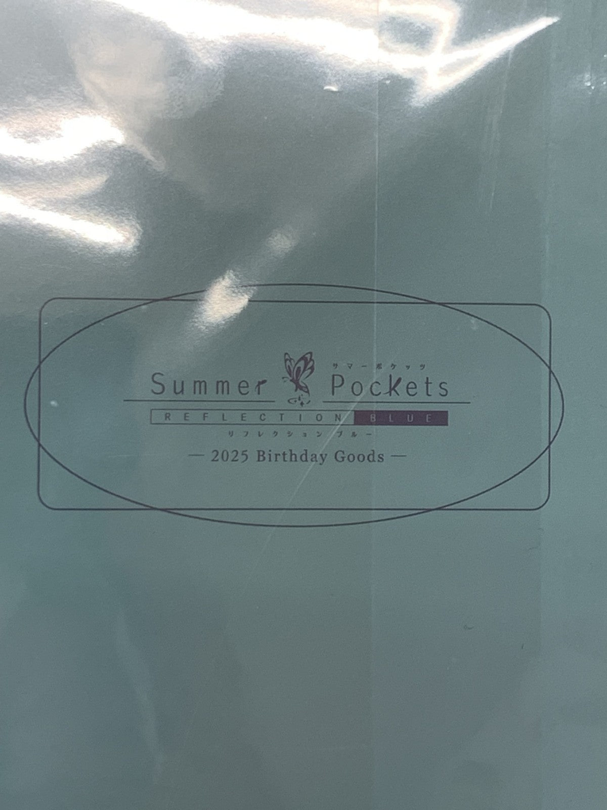 Summer Pockets空門蒼2025年バースデー フィギュア/グッズ