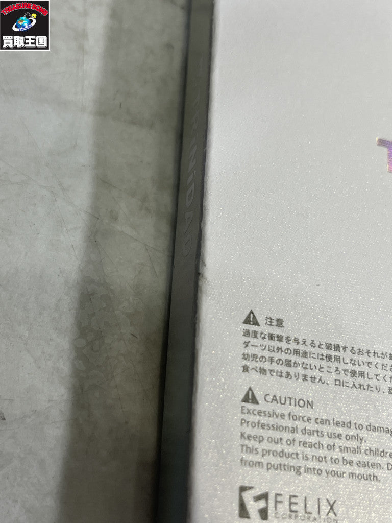 TRiNiDAD VICTOR Yuki Kanazawa Model 雑貨その他