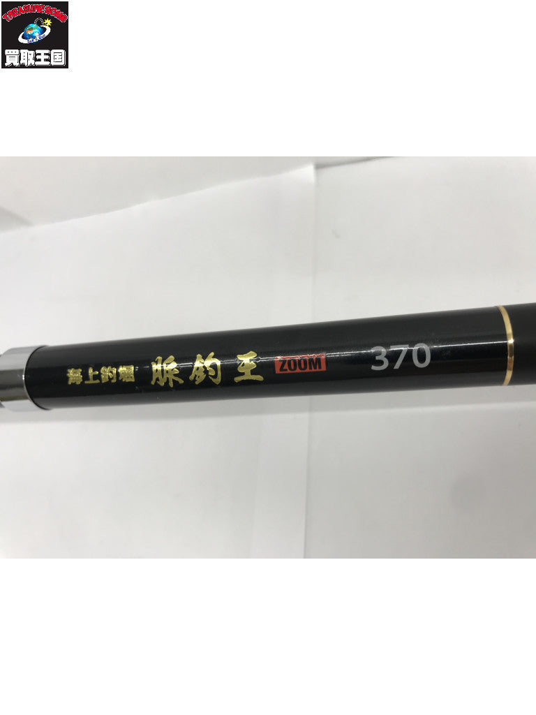 脈釣王 370 その他ロッド