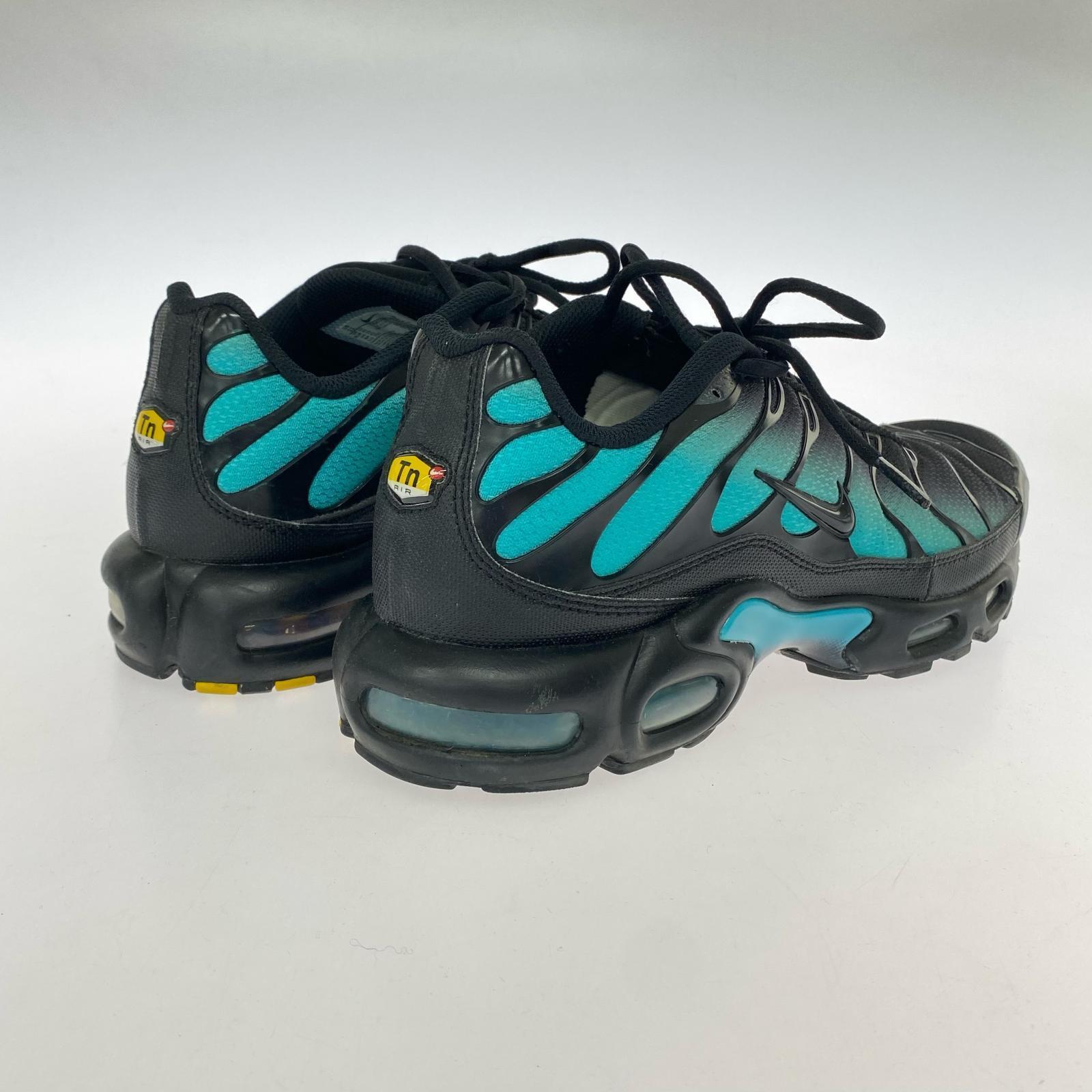スニーカー Air Max Plus Black/Aurora Green 29.0cm 29cm (US11 UK10 1/2 EU48) ブラック