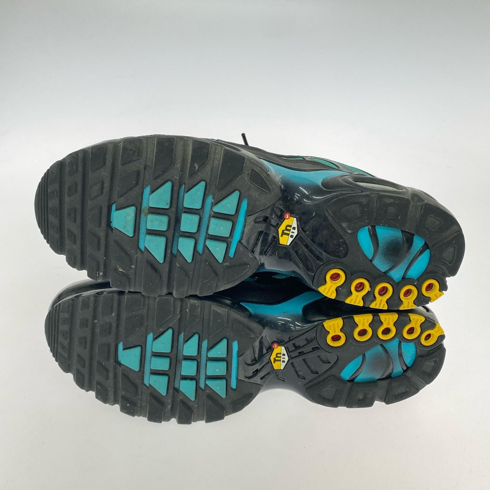 スニーカー Air Max Plus Black/Aurora Green 29.0cm 29cm (US11 UK10 1/2 EU48) ブラック