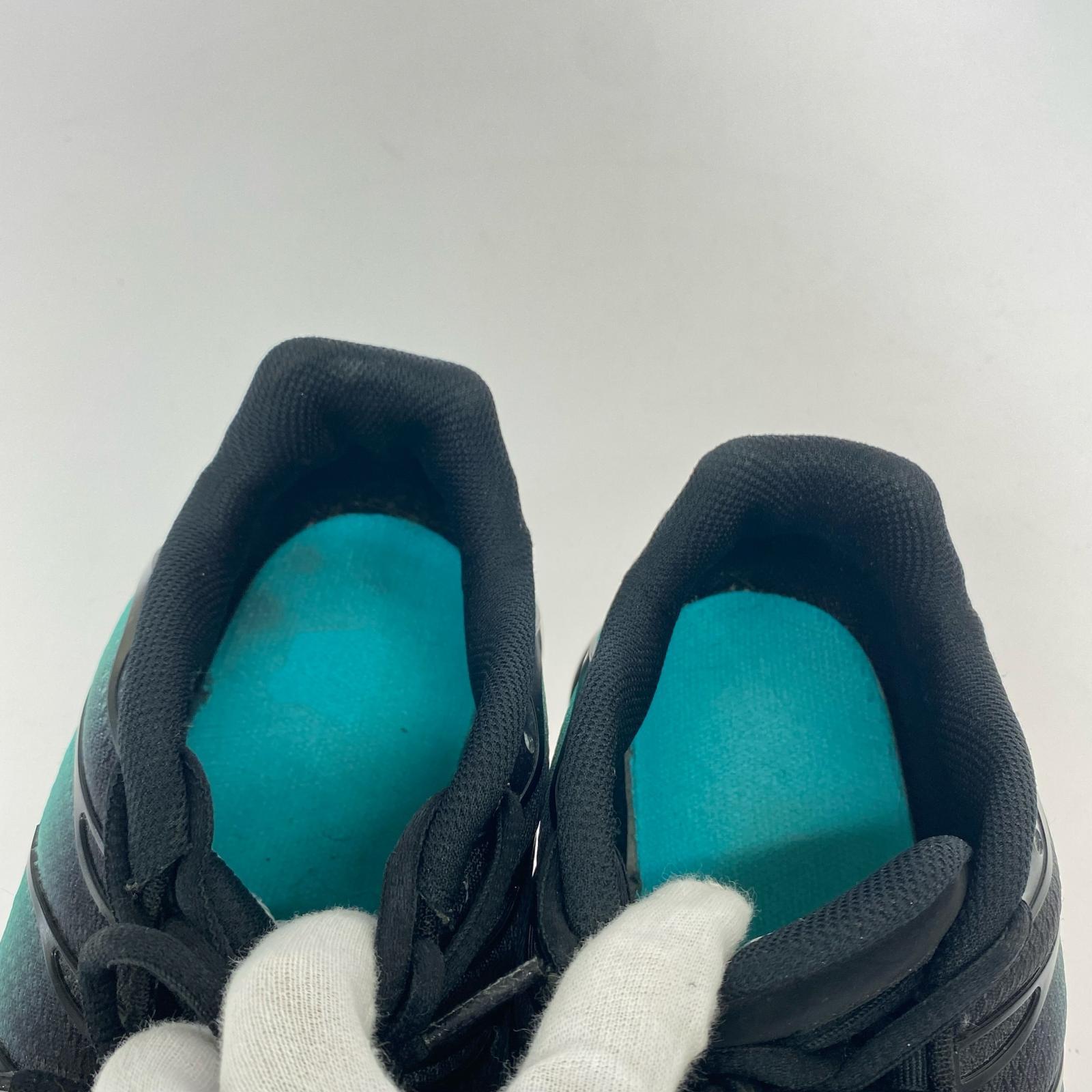 スニーカー Air Max Plus Black/Aurora Green 29.0cm 29cm (US11 UK10 1/2 EU48) ブラック