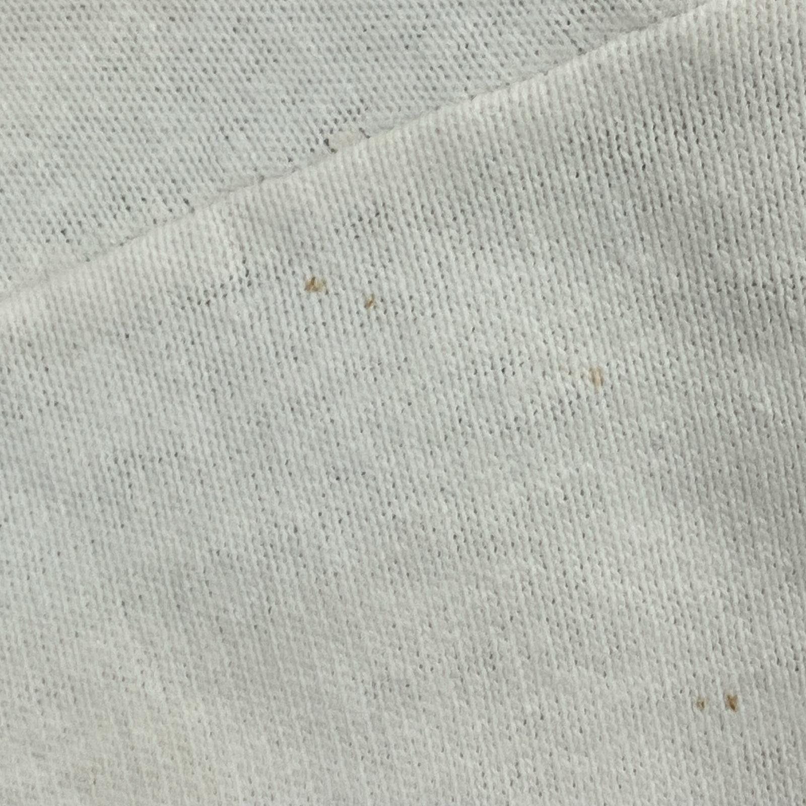 半袖Tシャツ FRUIT OF THE LOOM オールド Tシャツ ホワイト