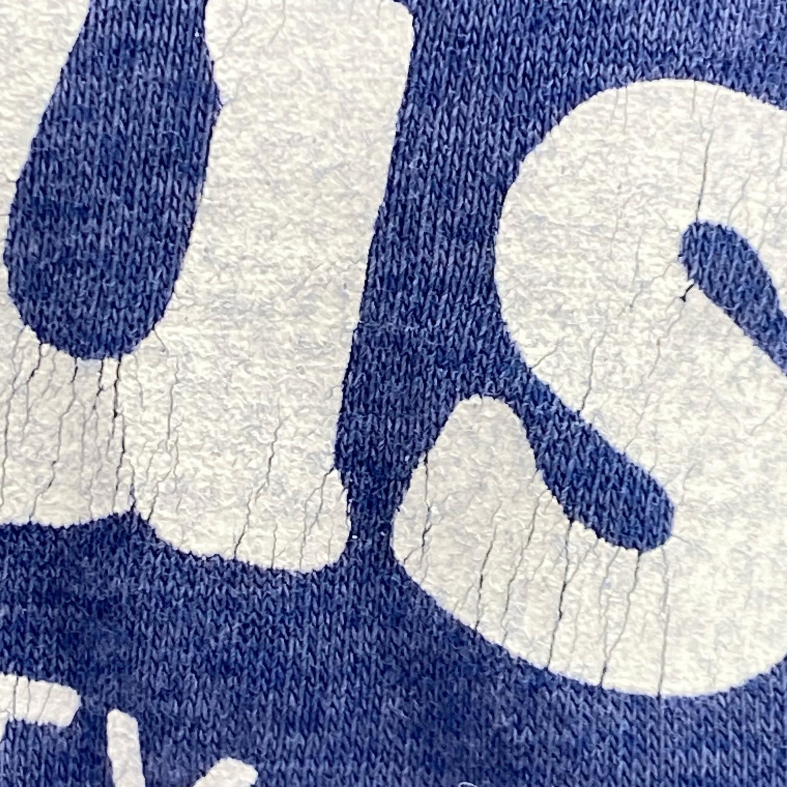 半袖Tシャツ 70s/HANES M ブルー