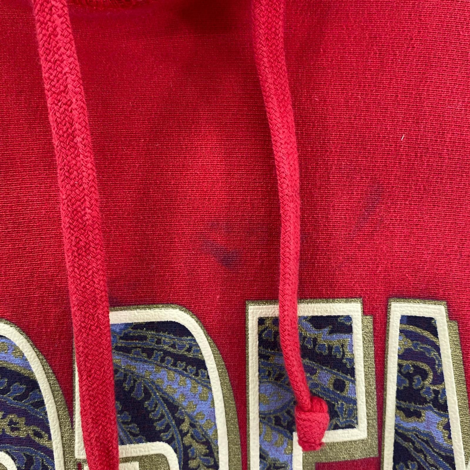 パーカー 17AW/Paisley Fuck Em All Hooded/XL レッド