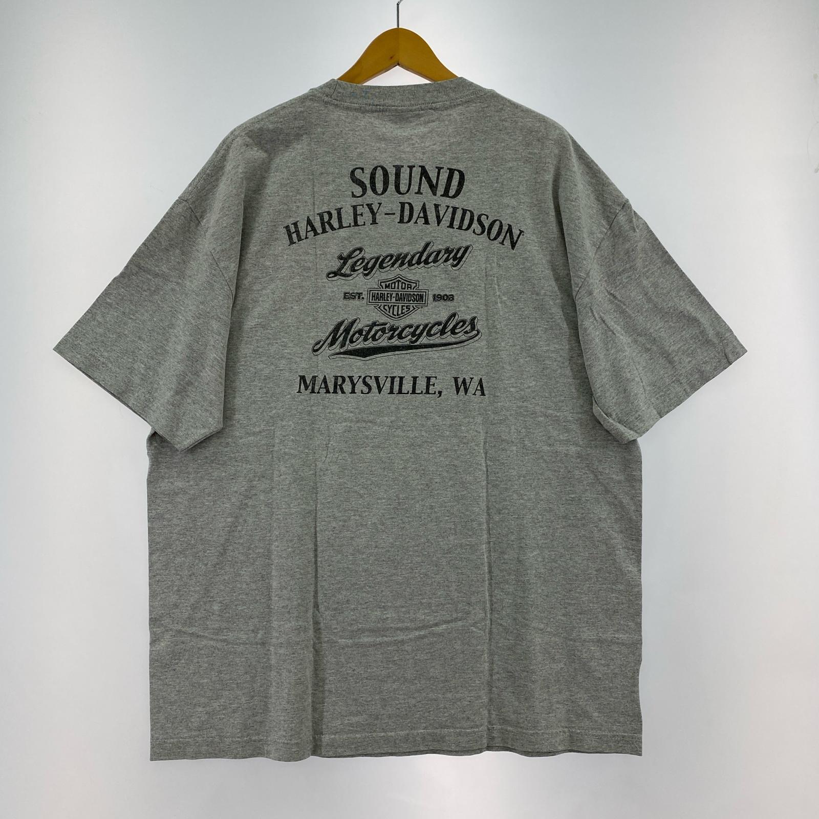 半袖Tシャツ 両面プリント S/S Tee XL グレー