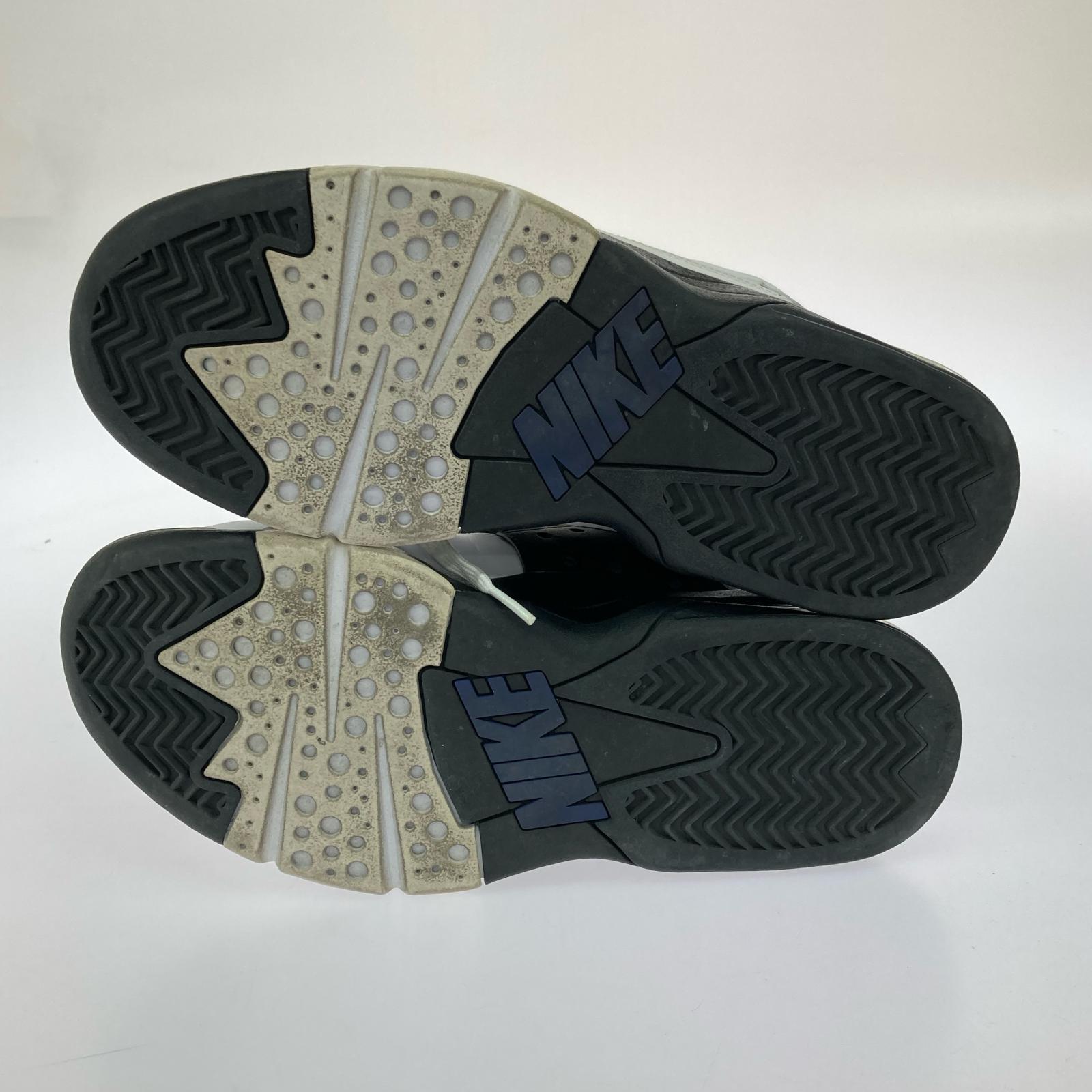 スニーカー AIR FORCE MAX 29.0cm 29cm (US11 UK10 1/2 EU48)