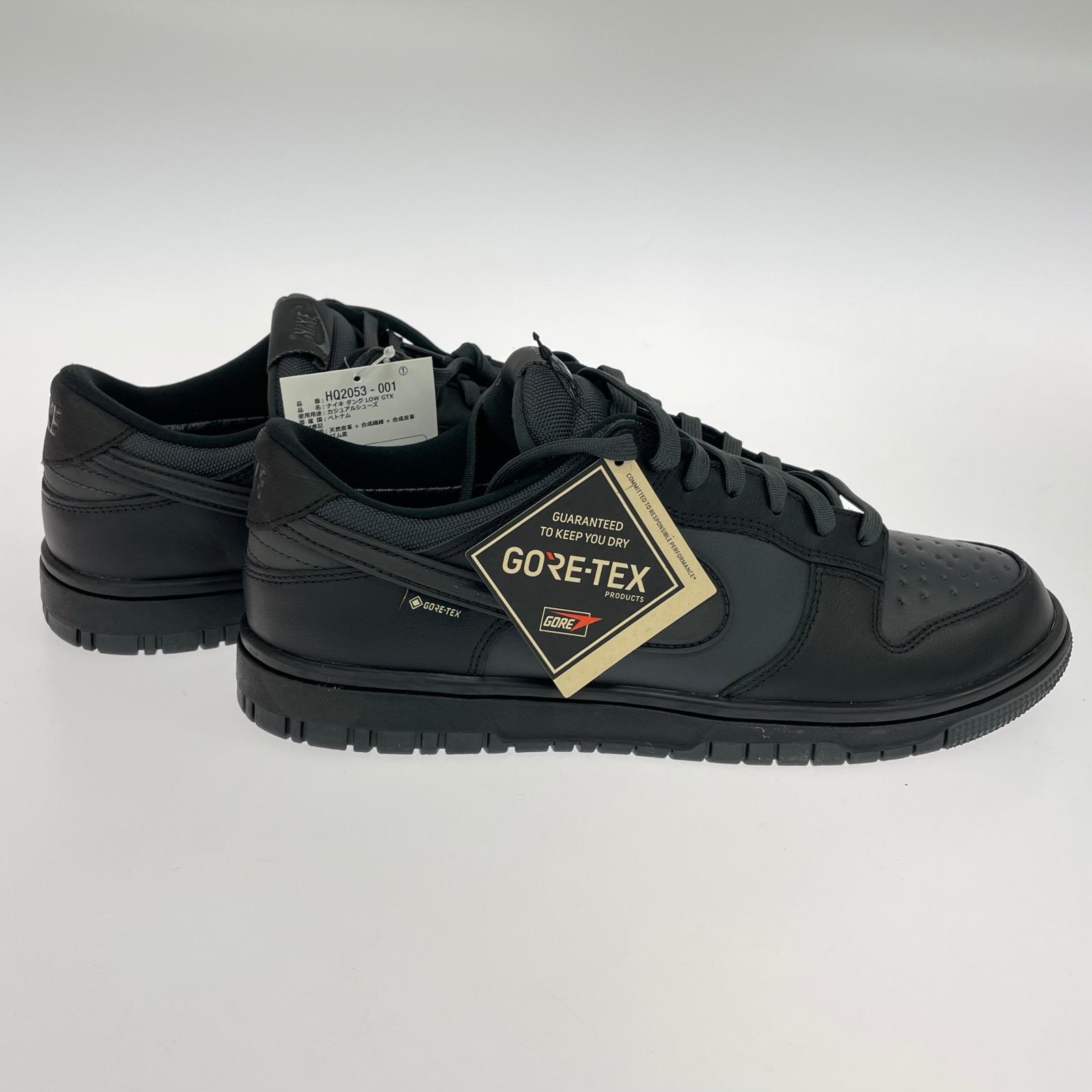 スニーカー Dunk Low GORE-TEX/HQ2053-001 (29.0) 29cm (US11 UK10 1/2 EU48) ブラック
