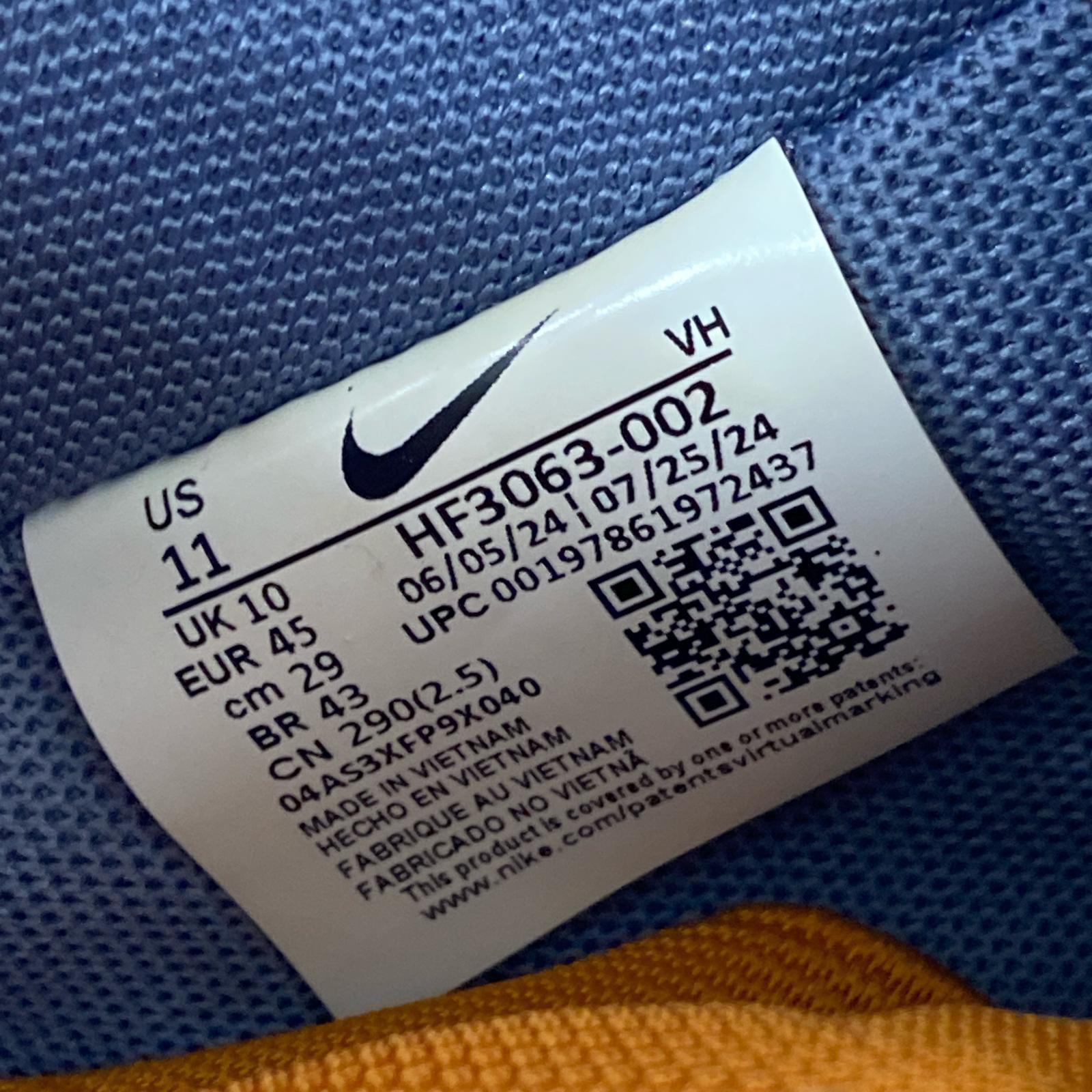 スニーカー NIKE SB◆DUNK LOW PRO LIGHT HF3063-002 29cm (US11 UK10 1/2 EU48)