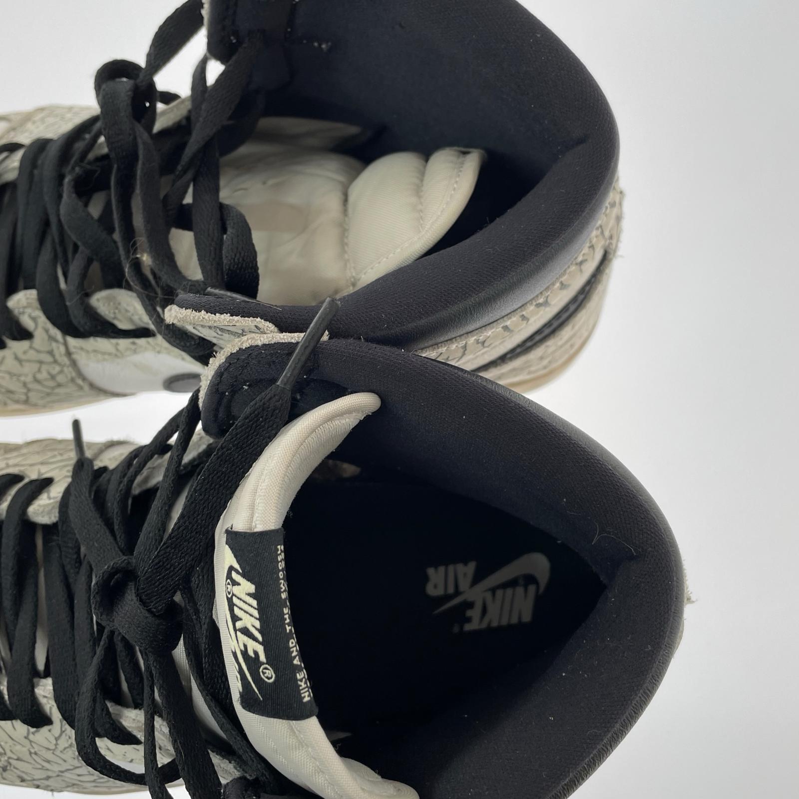スニーカー Nike Air Jordan 1 High DZ5485-052 29cm 29cm (US11 UK10 1/2 EU48)