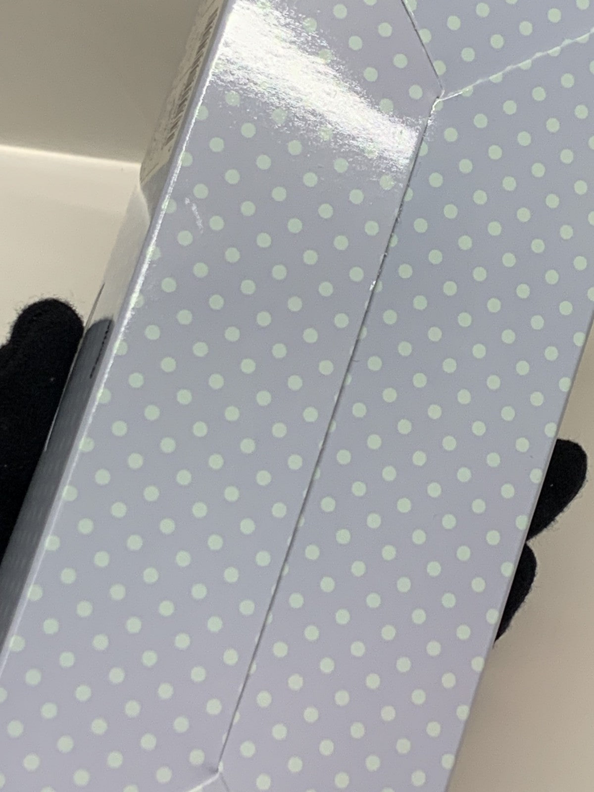 ちびっとも みずのいきもの BOX フィギュア/グッズ