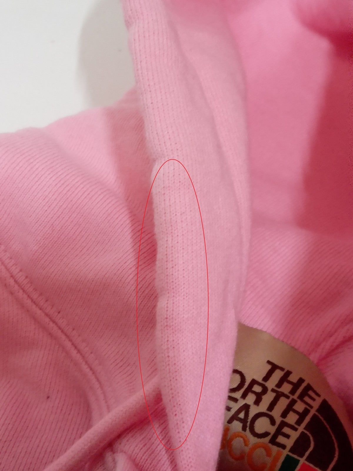 GUCCI×THE NORTH FACE フーディー パーカー XS