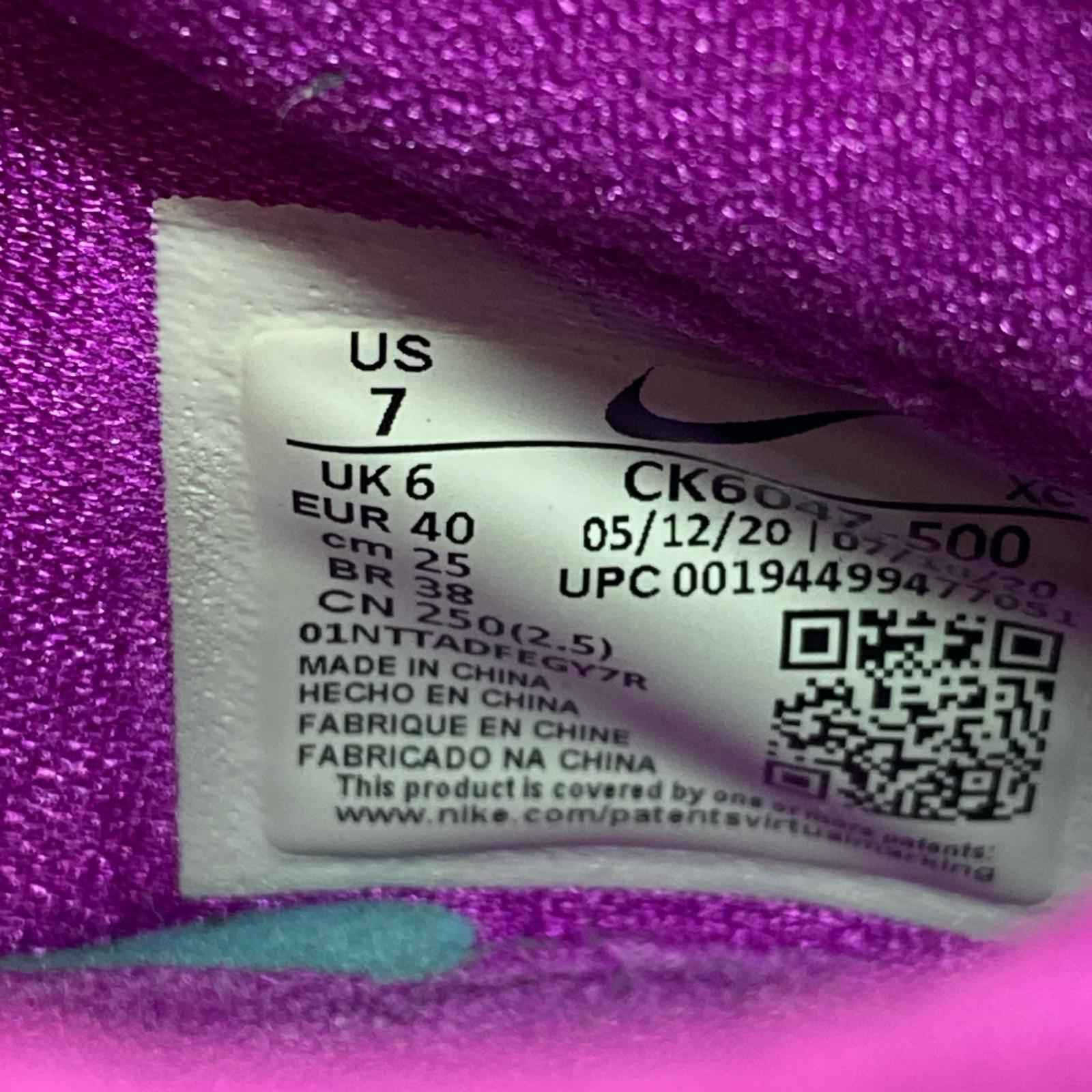 スニーカー LEBRON SOLDIER 14 EP(25.0) 25cm (US7 UK6 1/2 EU40)