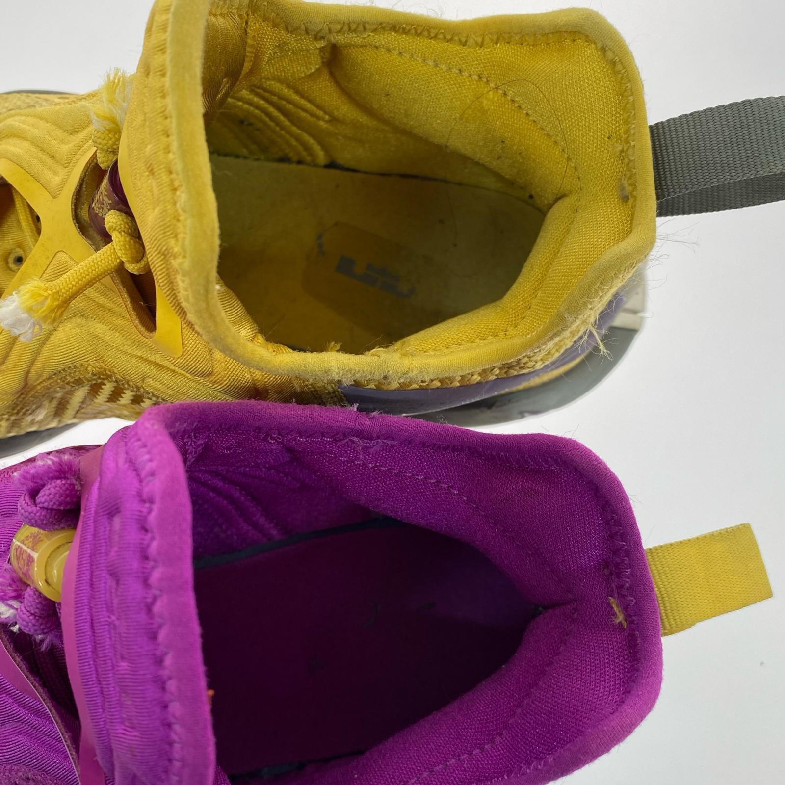 スニーカー LEBRON SOLDIER 14 EP(25.0) 25cm (US7 UK6 1/2 EU40)