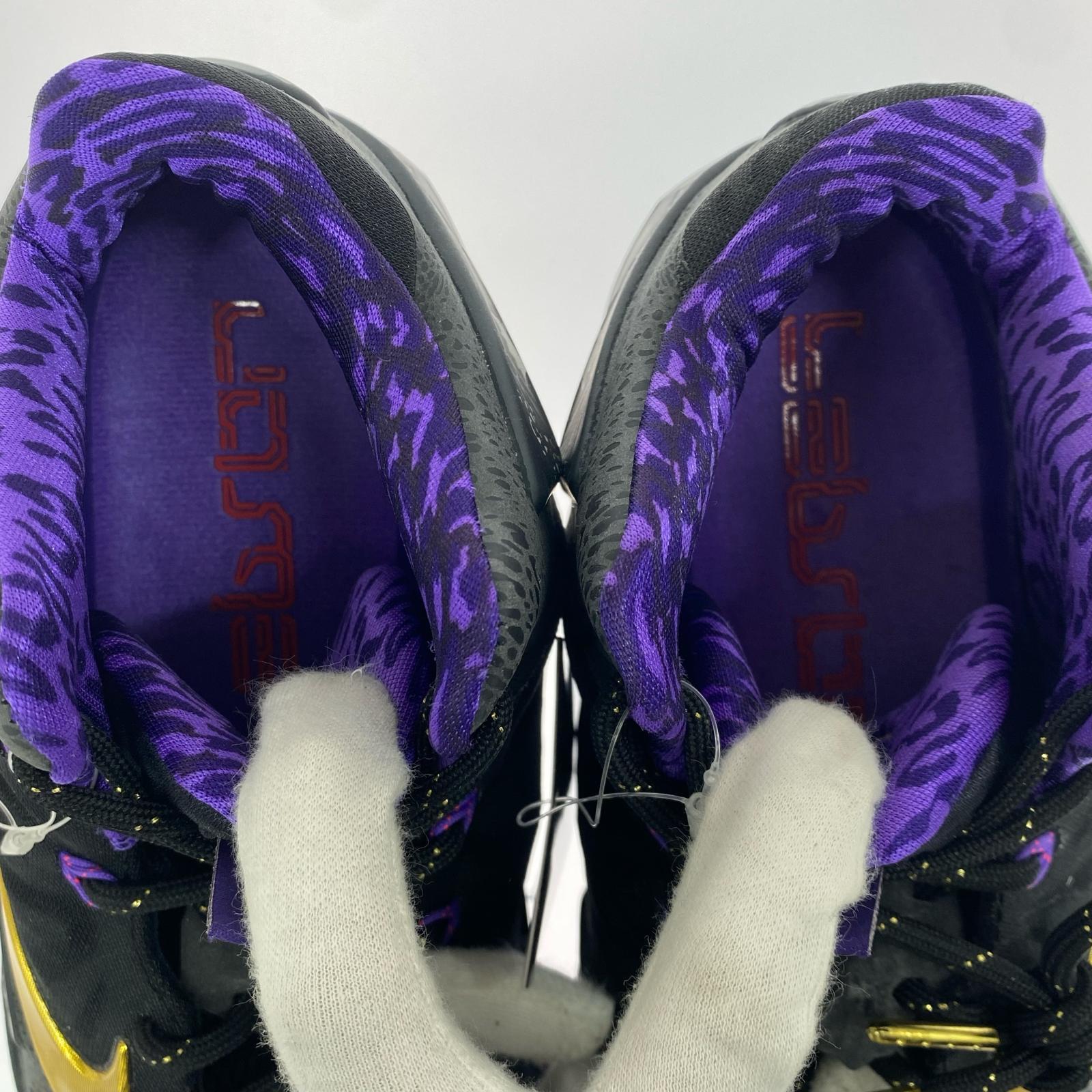 その他靴 LeBron 11 Black History Month 28.5cm 28.5cm (US10 1/2 UK10 EU47) ブラック
