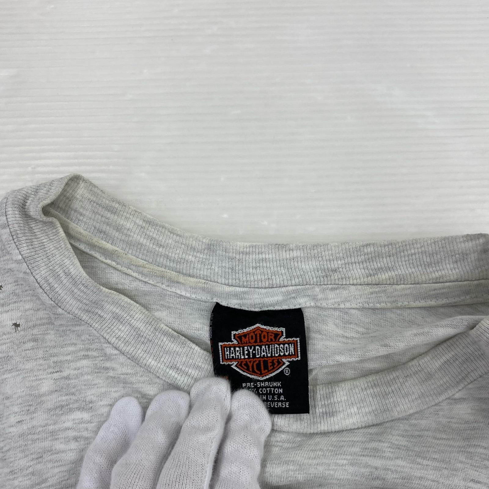 半袖Tシャツ Hanes ボディ グレー XL グレー