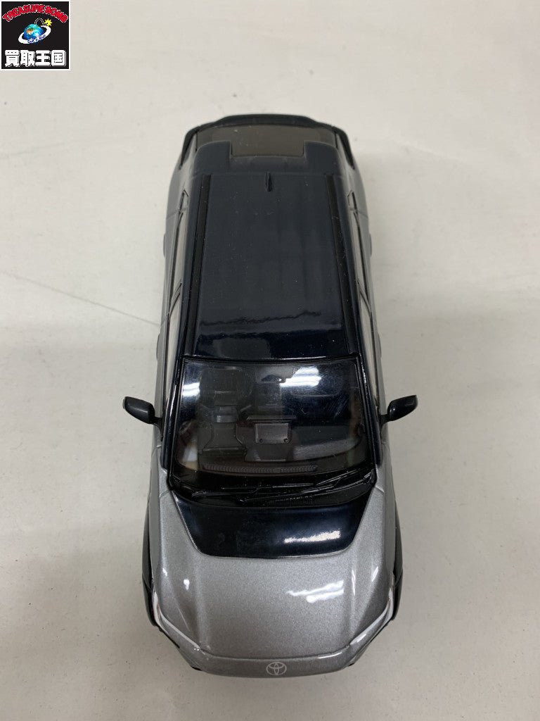 2YJ アティチュードブラックマイカ カラーサンプル
