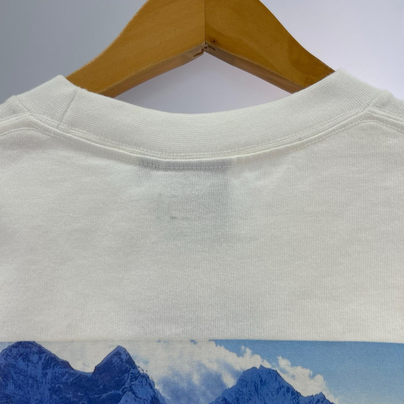 長袖Tシャツ THE NORTH FACE L/S 30th Nuptse Tee NT82235 白 (S) S ホワイト